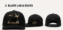 Black Lab & Ducks